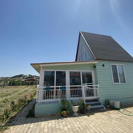 Denize 5 Dakika Ve Doga Evi Lejlighed *